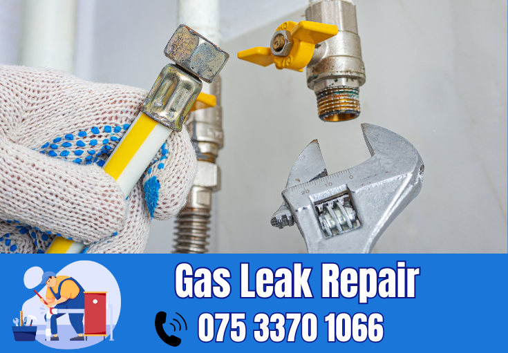 gas leak repair Orpington