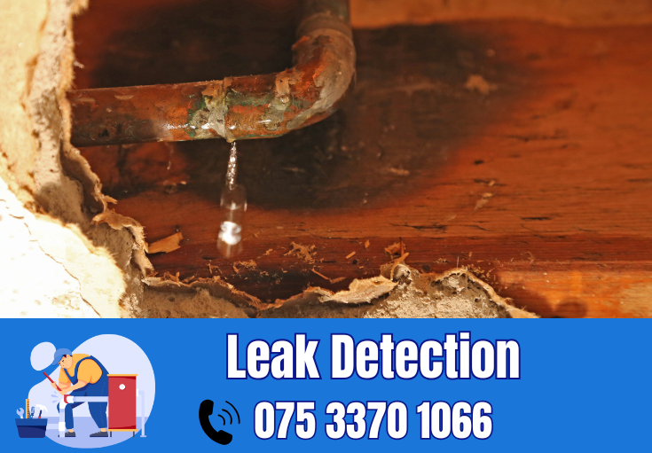 leak detection Orpington