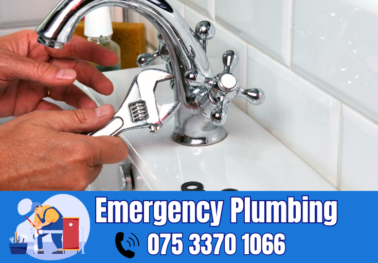  plumber Petts Wood