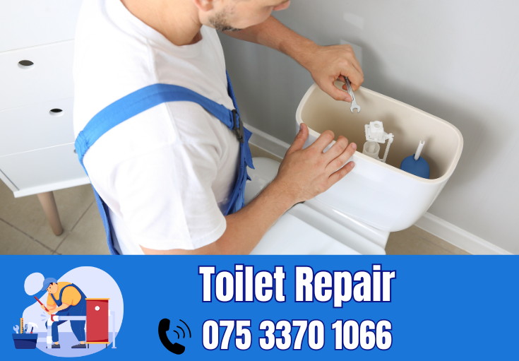 toilet repair Orpington